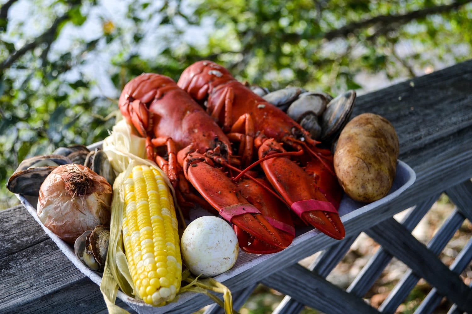 Lobster and seafood on a platter