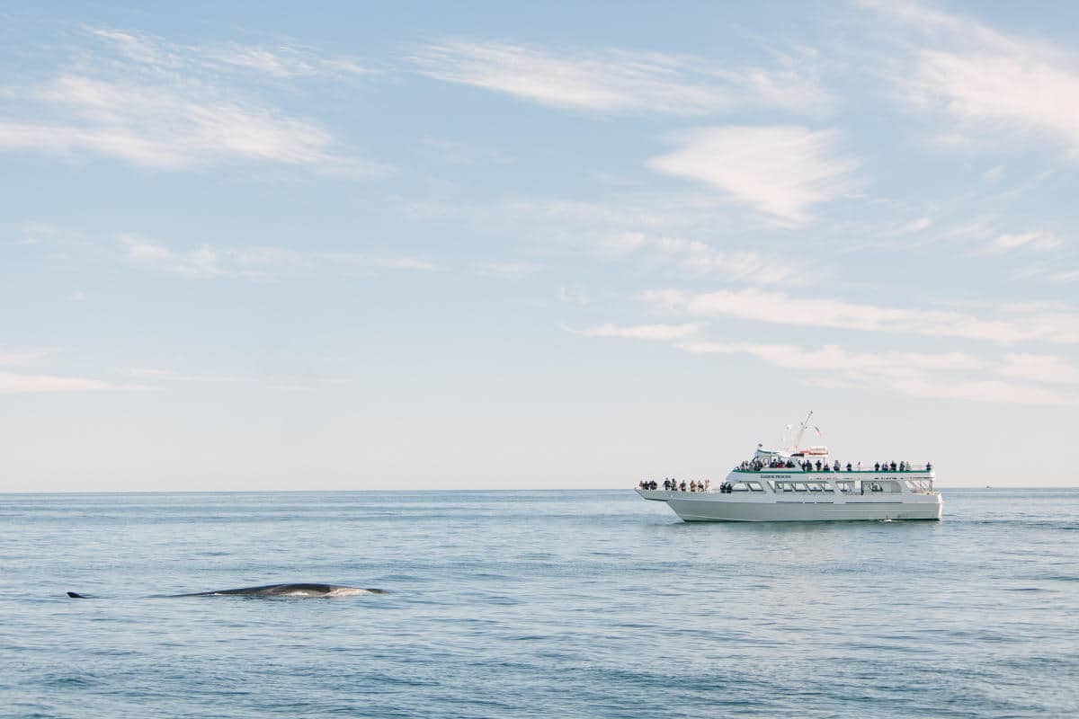 Cap'n Fish Cruises